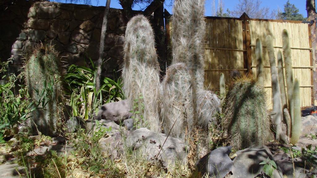 La Casa Del Indio Hotel Tilcara Kültér fotó