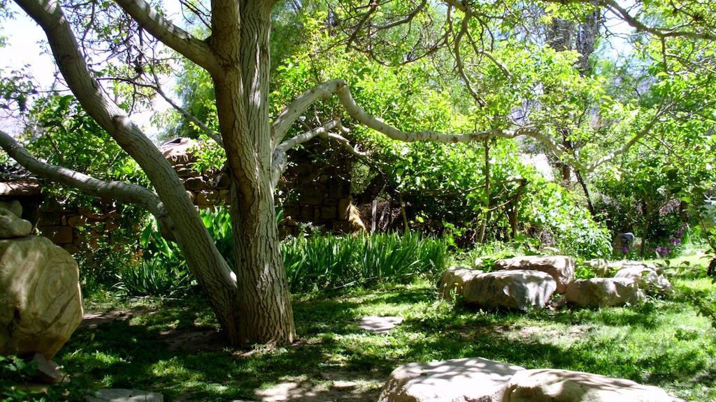 La Casa Del Indio Hotel Tilcara Kültér fotó
